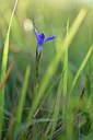 BUITEN BEELD Foto: 241406