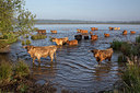 BUITEN BEELD Foto: 241439