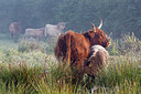 BUITEN BEELD Foto: 241441