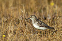 BUITEN BEELD Foto: 241536