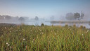 BUITEN BEELD Foto: 241566