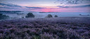 BUITEN BEELD Foto: 241571
