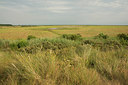 BUITEN BEELD Foto: 241585