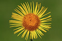 BUITEN BEELD Foto: 241600