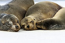 BUITEN BEELD Foto: 241645