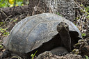BUITEN BEELD Foto: 241654