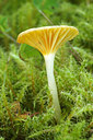BUITEN BEELD Foto: 241676