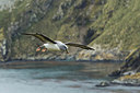 BUITEN BEELD Foto: 241838