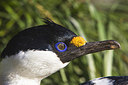 BUITEN BEELD Foto: 241852