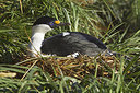 BUITEN BEELD Foto: 241853