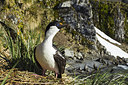 BUITEN BEELD Foto: 241854