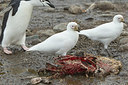 BUITEN BEELD Foto: 241869