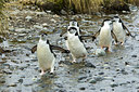 BUITEN BEELD Foto: 241887