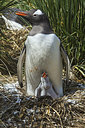 BUITEN BEELD Foto: 241896