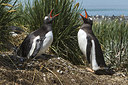 BUITEN BEELD Foto: 241899