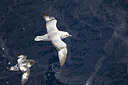 BUITEN BEELD Foto: 242033