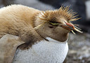 BUITEN BEELD Foto: 242038
