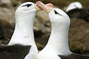 BUITEN BEELD Foto: 242056