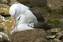 BUITEN BEELD Foto: 242058