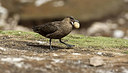 BUITEN BEELD Foto: 242074