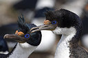 BUITEN BEELD Foto: 242078