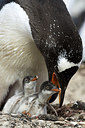 BUITEN BEELD Foto: 242091
