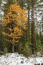 BUITEN BEELD Foto: 242207