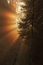 BUITEN BEELD Foto: 242215