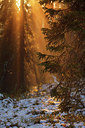 BUITEN BEELD Foto: 242218
