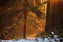 BUITEN BEELD Foto: 242223