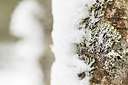 BUITEN BEELD Foto: 242240