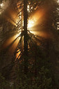 BUITEN BEELD Foto: 242242