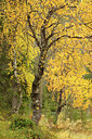 BUITEN BEELD Foto: 242249