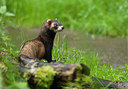 BUITEN BEELD Foto: 242317