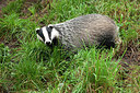 BUITEN BEELD Foto: 242321
