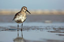 BUITEN BEELD Foto: 242404