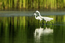BUITEN BEELD Foto: 242434