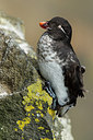 BUITEN BEELD Foto: 242447