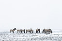BUITEN BEELD Foto: 242456