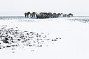 BUITEN BEELD Foto: 242460
