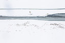 BUITEN BEELD Foto: 242464