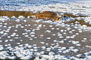 BUITEN BEELD Foto: 242468