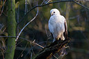 BUITEN BEELD Foto: 242480
