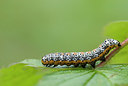 BUITEN BEELD Foto: 242538
