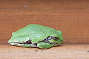 BUITEN BEELD Foto: 242543