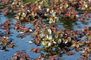 BUITEN BEELD Foto: 242606