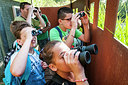BUITEN BEELD Foto: 242615