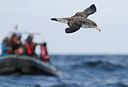 BUITEN BEELD Foto: 242626