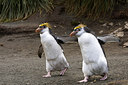 BUITEN BEELD Foto: 242676
