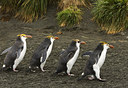 BUITEN BEELD Foto: 242677